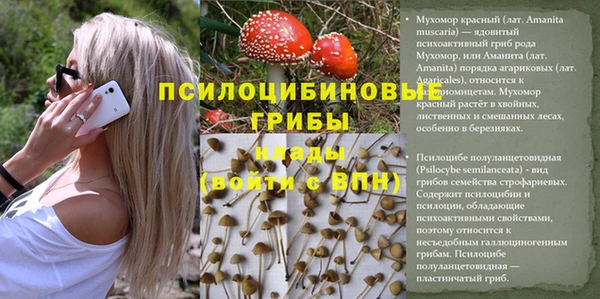 каннабис Белоозёрский