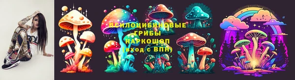 марки lsd Белокуриха