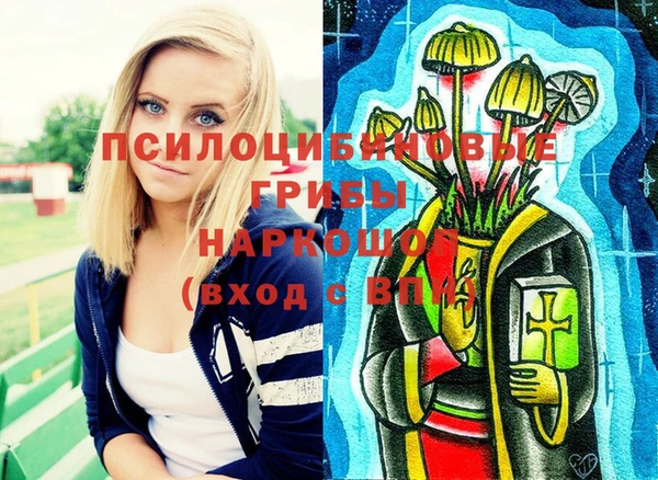 гашик Беломорск